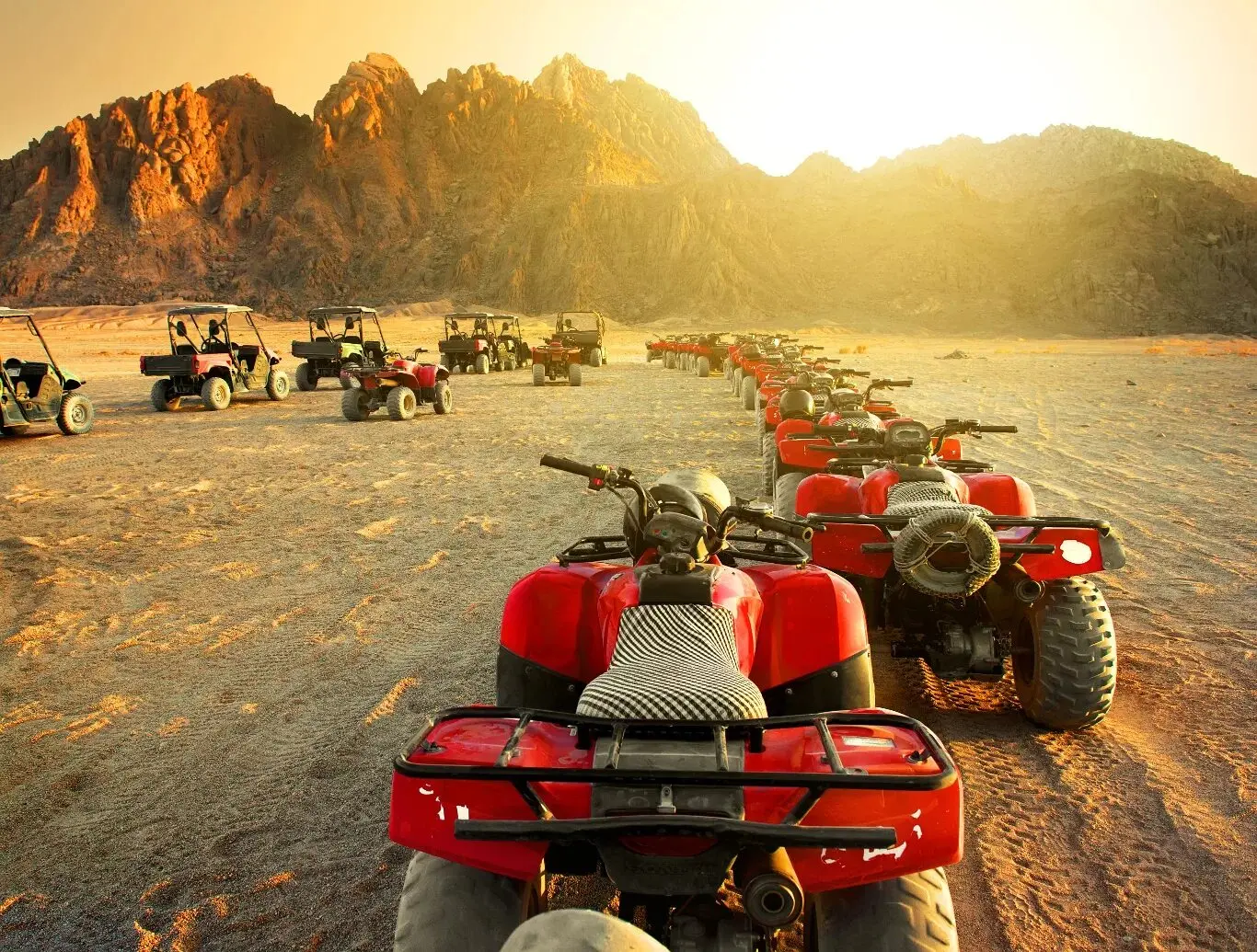 Quad picking safari in Luxor