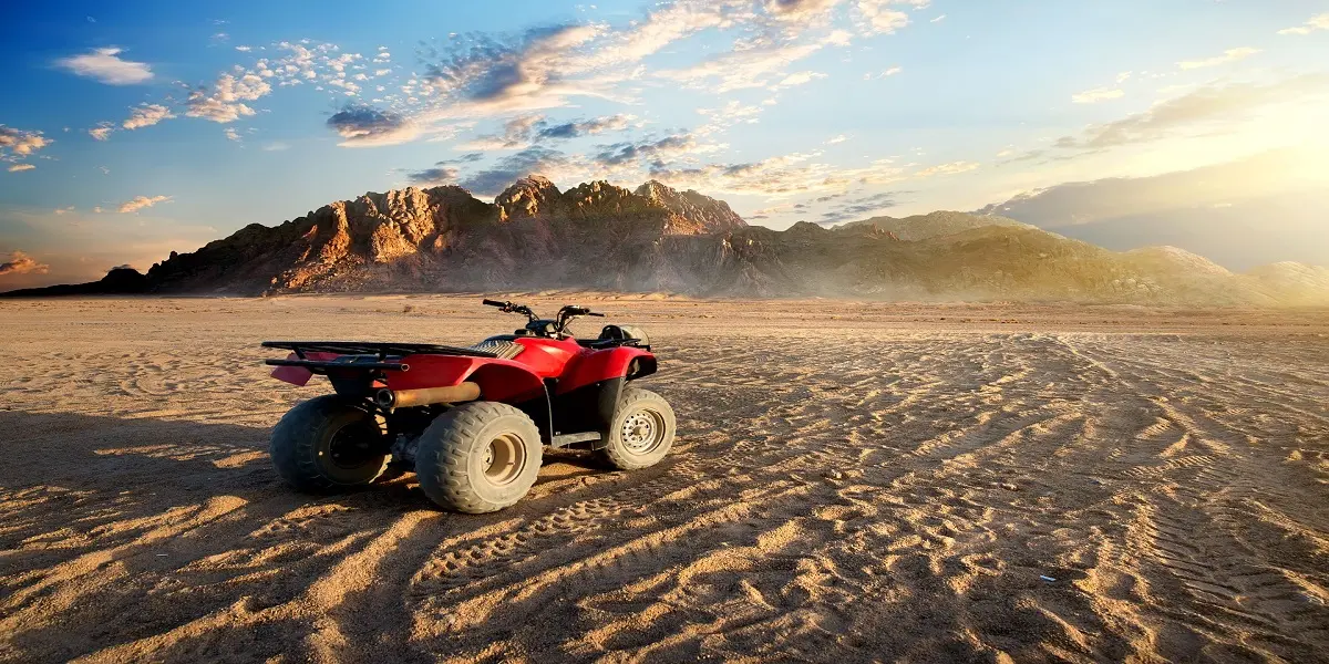 Quad Bike and Camel Ride Desert Safari