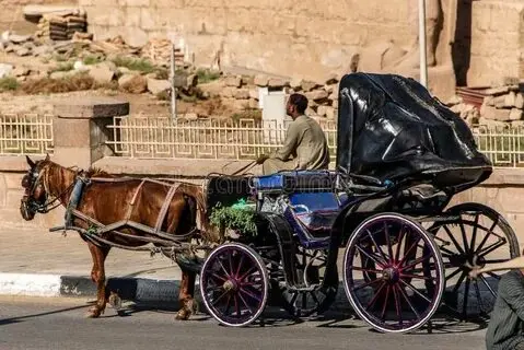 Luxor city tour by horse-carriage